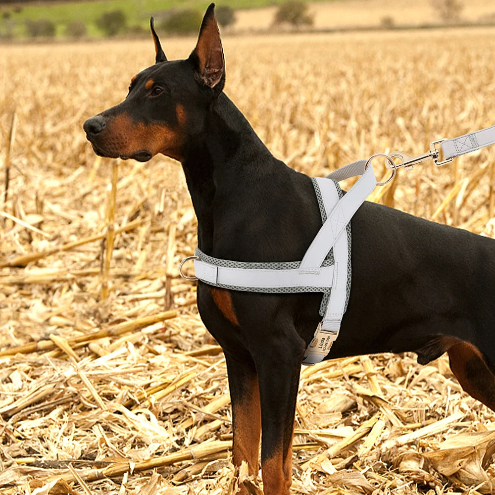 Harnais pour chien personnalisé sans traction