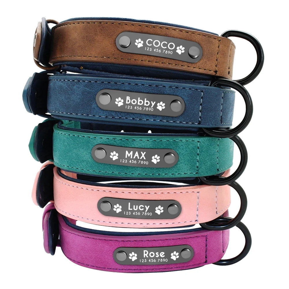 Colliers pour chiens en cuir personnalisés Étiquettes d&