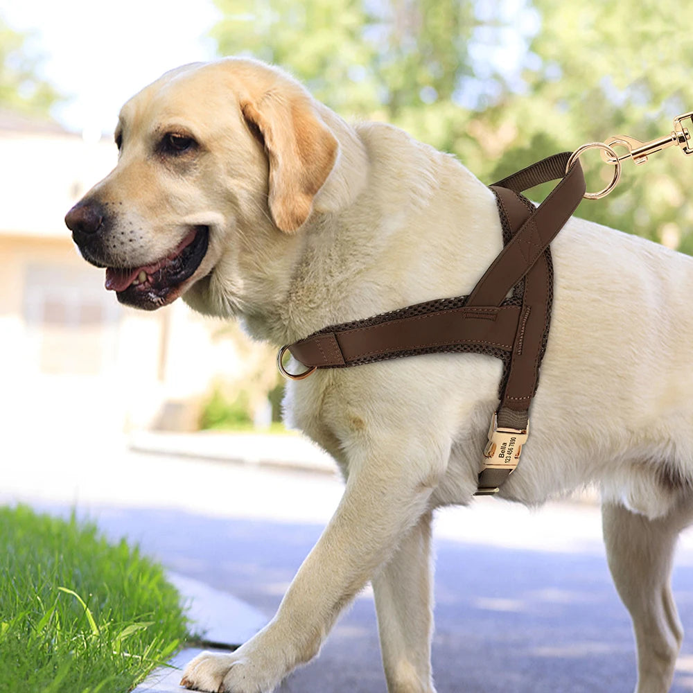 Harnais pour chien personnalisé sans traction