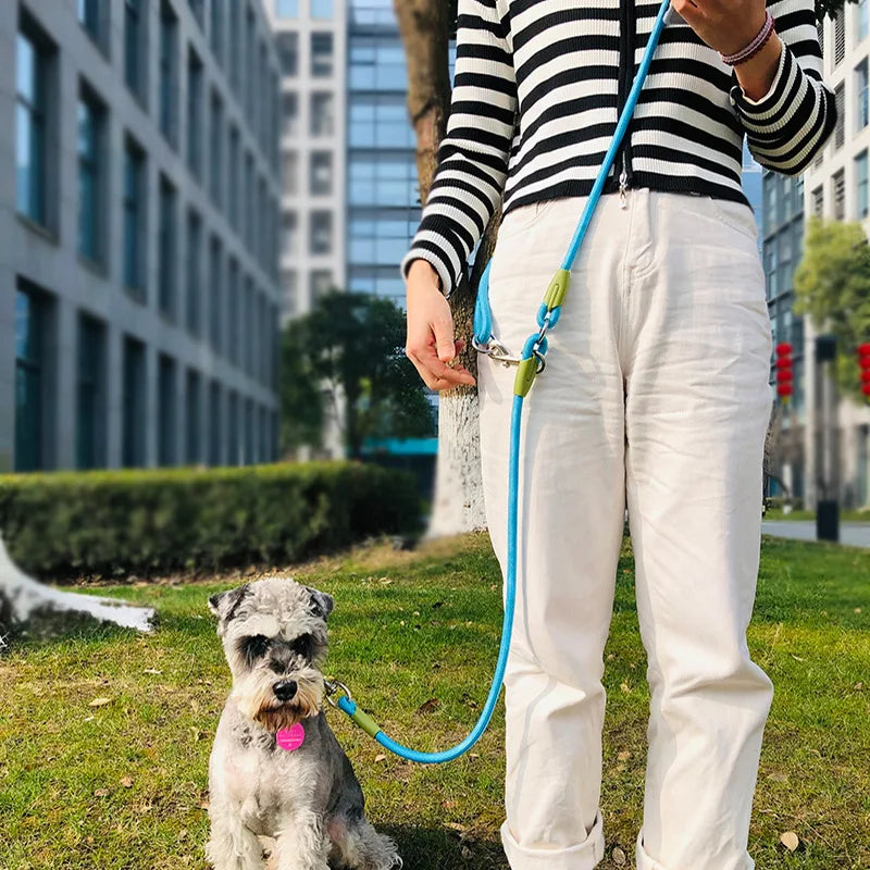 Laisses réfléchissantes en nylon pour chiens de compagnie, corde de traction pour la course, la marche, les mains libres, pour petits et grands chiens