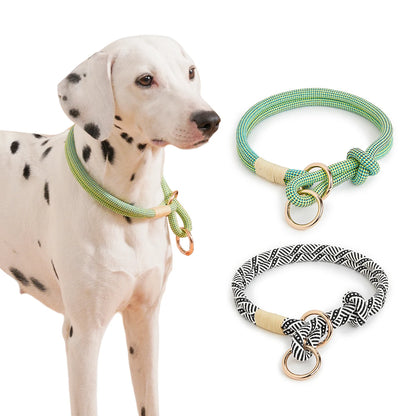 Laisse pour chien de compagnie, style simple et tendance