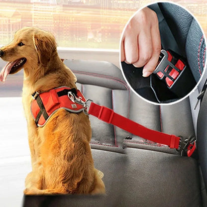 ceinture de sécurité pour animaux de compagnie