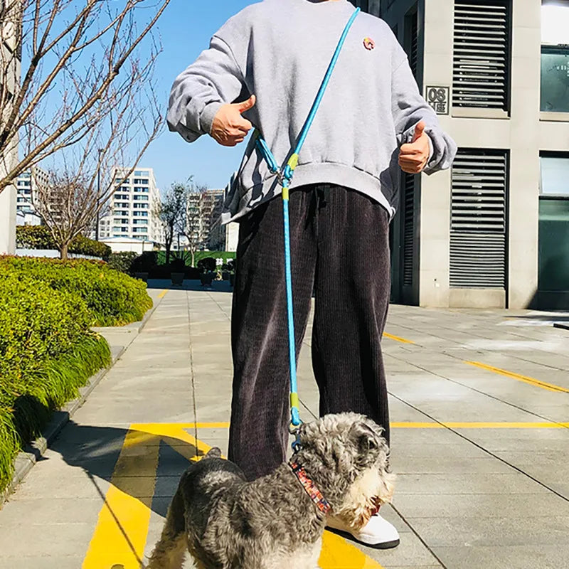 Laisses réfléchissantes en nylon pour chiens de compagnie, corde de traction pour la course, la marche, les mains libres, pour petits et grands chiens