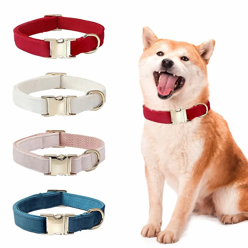 Collier personnalisé en peau de cerf pour chat et chien