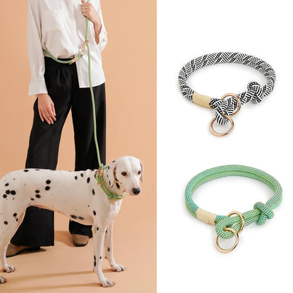 Laisse pour chien de compagnie, style simple et tendance