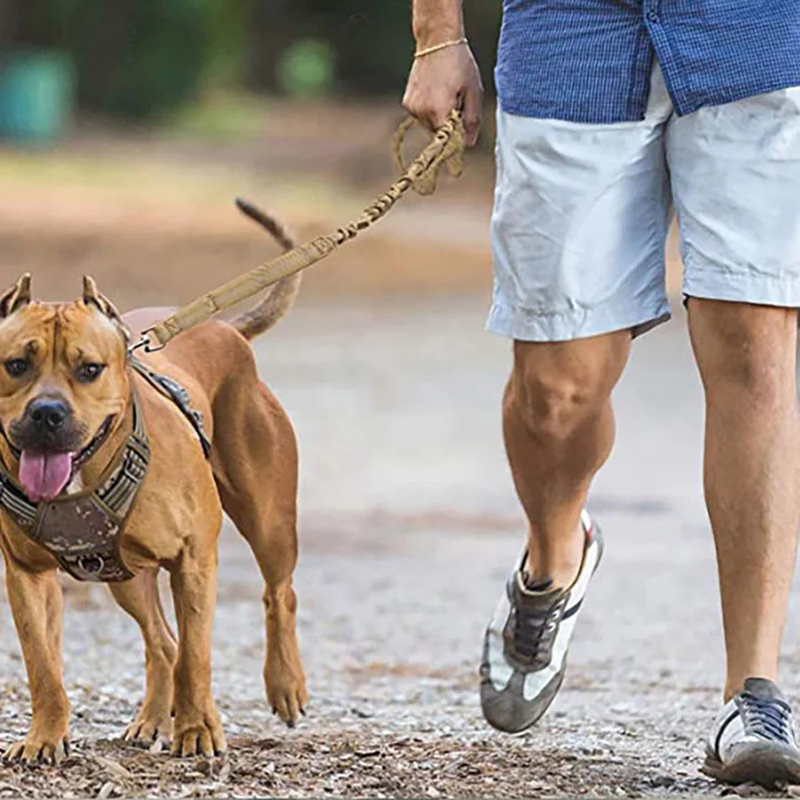 Laisse pour chien de grande taille, élastique