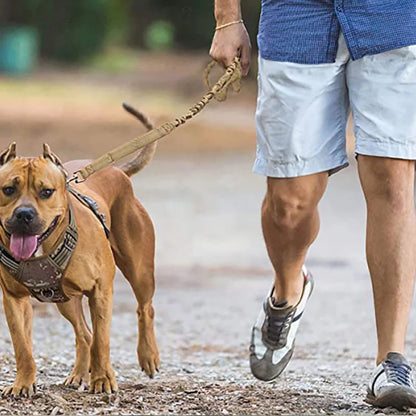 Laisse pour chien de grande taille, élastique